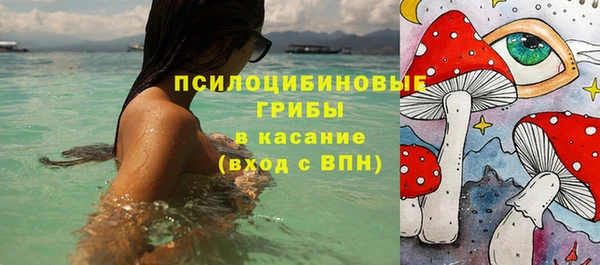 ГАЛЛЮЦИНОГЕННЫЕ ГРИБЫ Балахна