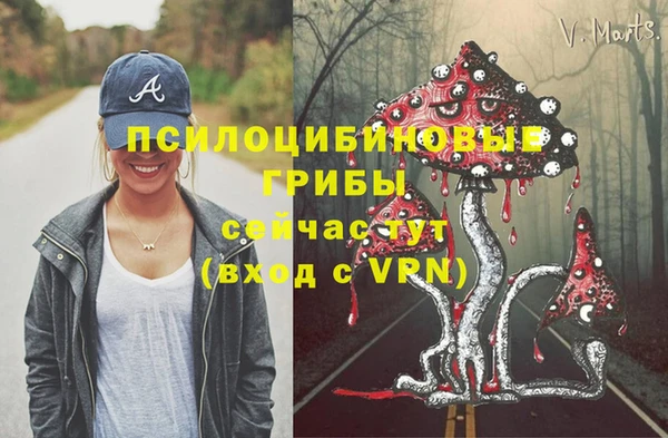 ГАЛЛЮЦИНОГЕННЫЕ ГРИБЫ Балахна